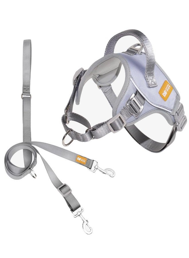 DF No Pull Martingale Dog Harness and Leash Set Silent Metal Buckle, Front Clip Reflective Harness, Adjustable Fit & Handle for Easy Walking & Training, Gray, 3/4", Front Chest 11.8"-13.0" - Image 1